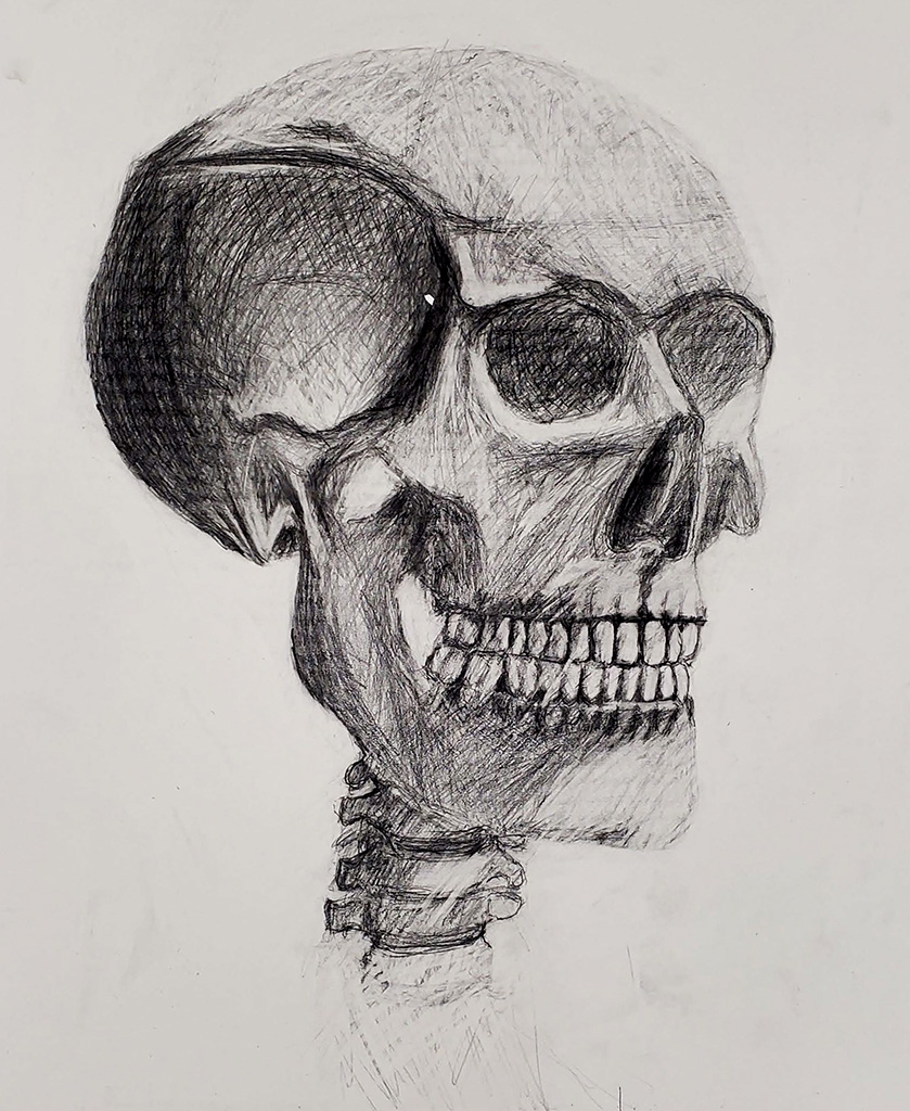 Cross Hatch Skull